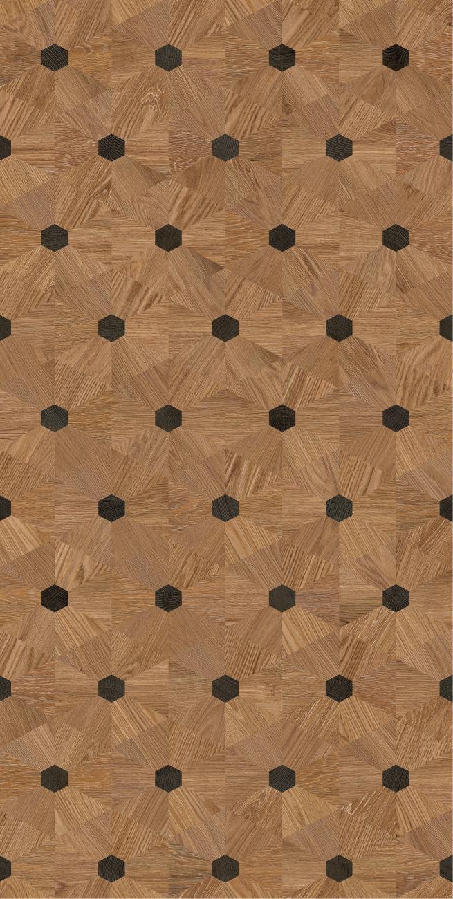 612TEX773莱茵序曲